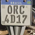 LOTE 36446