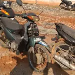 LOTE 36384