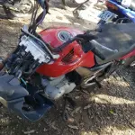 LOTE 36417