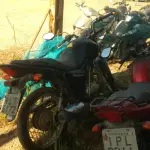 LOTE 36393