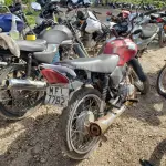 LOTE 36439