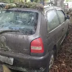 LOTE 36495