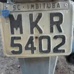 LOTE 36445