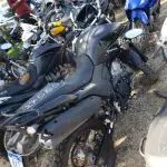 LOTE 36410