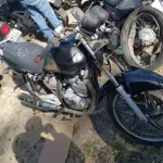 LOTE 36559