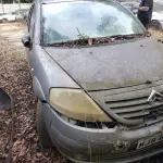 LOTE 36513