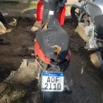 LOTE 36566