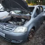 LOTE 36515