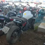 LOTE 36553