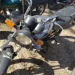 LOTE 36576