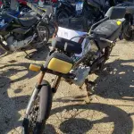 LOTE 36569