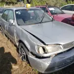 LOTE 36531