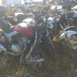 LOTE 36549