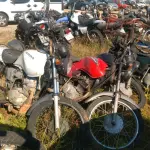 LOTE 36547