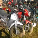 LOTE 36552