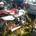 LOTE 36547
