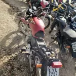 LOTE 36556
