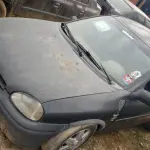 LOTE 36455