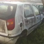 LOTE 36479