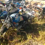 LOTE 36551