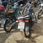 LOTE 36577