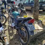 LOTE 36564