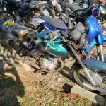 LOTE 36564