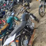 LOTE 36577
