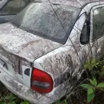 LOTE 36517