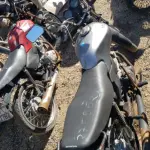 LOTE 36576
