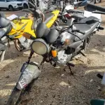 LOTE 36577