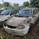 LOTE 36517