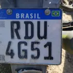 LOTE 36561