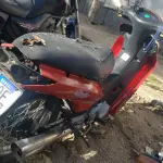 LOTE 36566