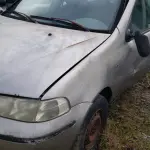 LOTE 36323