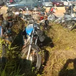 LOTE 36551