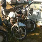 LOTE 36554