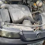 LOTE 36509