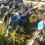 LOTE 36550