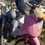 LOTE 36540