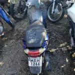 LOTE 36562