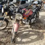 LOTE 36556