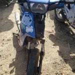 LOTE 36555