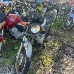 LOTE 36544