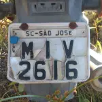 LOTE 36551