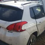 LOTE 36478