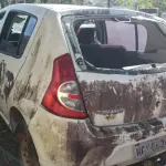 LOTE 36454