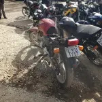 LOTE 36556