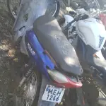 LOTE 36562