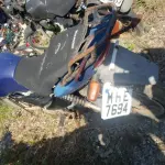 LOTE 36542